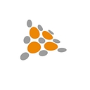 Shape Services Limited logo