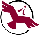 Shared Value Solutions Ltd. logo