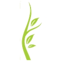 Shasta Head Start Child Development