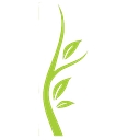 Shasta Head Start logo