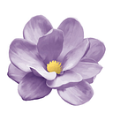 SHAUN FOUNDATION FOR GIRLS logo