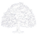 Sheets Smith Wealth Management, Inc. logo
