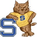 Shenango Area SD logo
