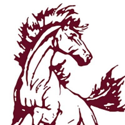 IGNITE Online & Personalized Learning logo