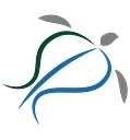 Ai Precision Health Institute logo
