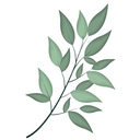 She’s Rooted Home logo