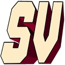 Logo for shevibe.com