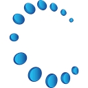 Shing Digital logo