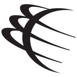 PERIMETER INTERNATIONAL logo
