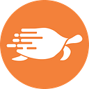 Shipturtle logo