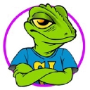 Shirt Lizard   Screen Printing & Embroidery   Charlotte, Nc logo