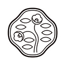 Shiseido IT logo