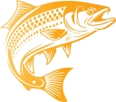 Shoemetro logo