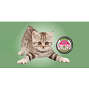 shookitty.com
