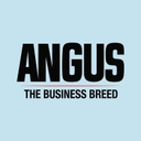 The Angus Brand logo