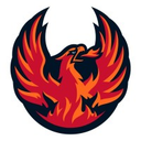 Coachella Valley Firebirds logo