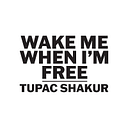 Wake Me When I'm Free Official Store