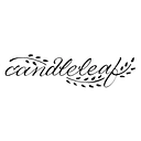 Candleleaf