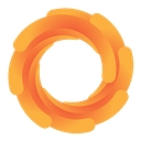 Favicon of Shopify Learner