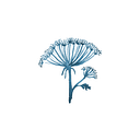 Jessie Tobias Design Shop