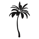 Sabal Swim