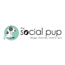 The Social Pup