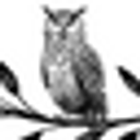 The Spotted Owl