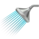 Favicon of Showers Direct
