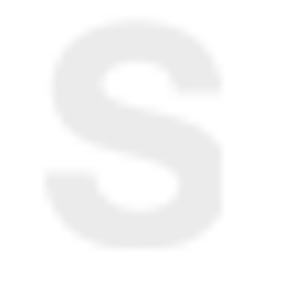 Shreeji Consultancy Ltd logo