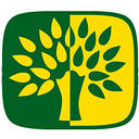 Shreiner Tree Care