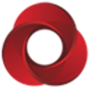 Shun Shing Group logo
