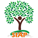 Southern Initiative of the Algebra logo