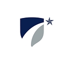 Service Insurance Group, Inc logo