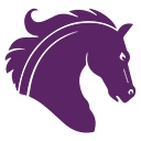 FORTIS GROUP dba silhouette security