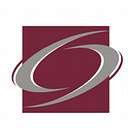 Silicon Legal Strategy logo