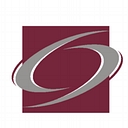 Silicon Legal Strategy logo
