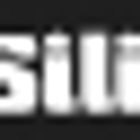 Silikal America logo