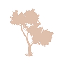 Silk Oil Of Morocco Official logo