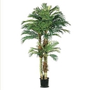 Silk Plants Canada logo