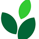 Silva Furniture