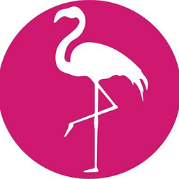 Silver Airways LLC logo
