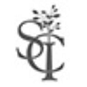 Silver Cloud logo