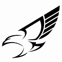 Silver Eagle Manufacturing Company logo