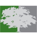 Silver Oak Services Partners, Llc logo