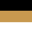 Robert B Silvers Foundation Inc logo