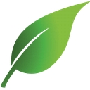 Silverstone Green Energy logo