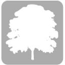 Silvertree Technology logo