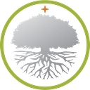 Silver Tree Consulting & Services logo