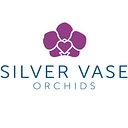 Silver Vase logo