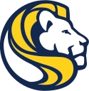 Simba Global Pty Ltd logo